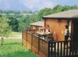 dogs welcome log cabins for holidays
