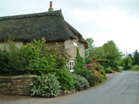 thatched cottage in Devon where there are many such cottages to rent for holidays